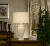 Crackle Porcelain Modern Desk Lamps (P0392TA)