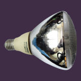 25W PAR38 Energy Saving Lamp