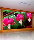 P4 Indoor Full Color LED Display/