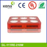 LED Grow Light Plant Light