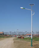 Factory Price 8m 40W Solar LED Street Light
