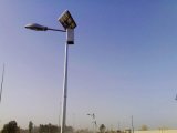 50W off-Grid Solar Street LED Light in Lebanon