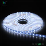 Waterproof 5050 LED Strip Light / RGB LED Strip