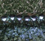 6 Piece Set Solar LED Landscape Path Light for Garden