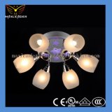 Chandelier with Perfect Handmade Detail (MD009)