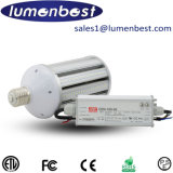 Aluminum E39/E40 80W LED Post Top LED Garden Light