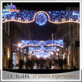 CE RoHS IP65 Outdoor LED Decorative Christmas Street Light