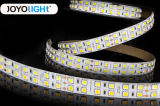 High Quality SMD 5050 144 LEDs/M LED Strip Light for Concealed Lighting