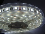 LED SMD Flex Strip Light (ST-SMD-5050-W)