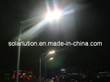 30W All in One Solar Street /LED Light with CE&RoHS Approved