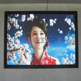 SMD Indoor Full Color Advertising LED Display/Screen