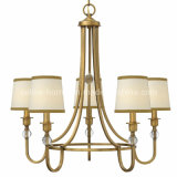 Decorative Iron Chandelier Lamp (C002-5)