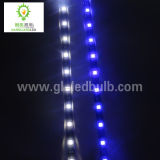 LED Decorative Lights (5050-60SMD-1M)