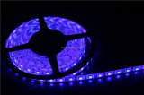 12V Blue LED Strip Light