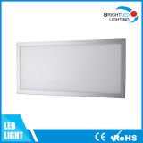 LED Panel Light 30*60cm