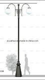 (CE, ISO) High Quality Solar/Garden Light with 2 Light Source