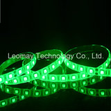 House Decoration 5050 LED Flexible LED Strip Light