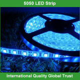 12V SMD 5050 Waterproof LED Strip Light