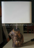 Modern Decorative Table Desk Lamp with Natural Tree Joints Base (C5007311)
