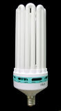 8u Energy Saving Lamp (CFL 8u00)