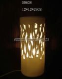Home Decoration/ Table Lamp/Porcelain Holly Lamp (S0638)