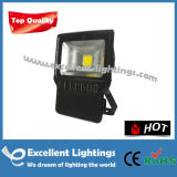 Pass CE RoHS LED Outdoor Flood Light 120V