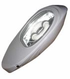 40W/80W Induction Light for Street Light (ADS-307)