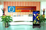 85 Inches Full Color Advertising P5 LED Display Hot Sale