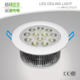 Super Brightness LED Ceiling Light 12W