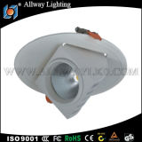 High Quality 10W COB LED Ceiling Light (SD001-30W)
