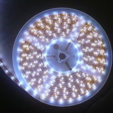 5050 LED Strip Lights (EL-NS5050PI30)