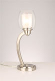 Table Lamp/Simple Table Light From China