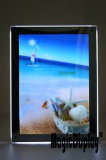 Advertisement Acrylic LED Crystal Backlit Display