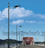 20W to 250W LED Street Light with Meanwell Driver