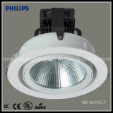 Philips Top Grade High Power Ceiling LED Spot Lights (BB-SLM217)