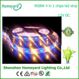 12V Waterproof RGBW Light SMD5050 Flexible LED Strip