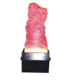 Stage Fire Effect Silk LED Flame Light