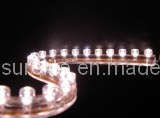 Waterproof Flexible LED Strip Light