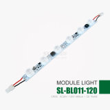 High Power LED Module, LED Trade Show Module, LED Strip Light From Slt DC24V 900-1000lm 12W