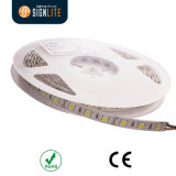 Manufacturer 60LEDs IP64 Waterproof SMD5050 LED Flexible Strip Light