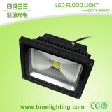 30W Outdoor LED Flood Light (BR-FL-30W-01)