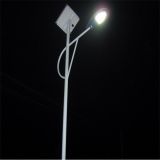 Manufacturer 6m30W RoHS CE LED Street Light