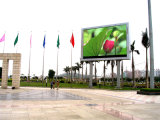 P16 Full Color Outdoor LED Advertising Display in Park