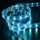 1600lm/M Hv SMD5050 LED Strip Light with Waterproof CE RoHS