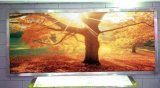 P7.62 Indoor Full-Color LED Display/Indoor Full-Color LED Display