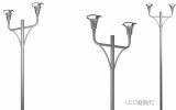 LED Garden Light/Garden Light 60W LED Street Light