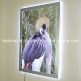 Acrylic Snap Frame Decorative Poster Light Box