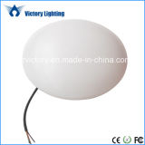 Pure White Indoor Ceiling Lighting LED Oyster Light (DC802)