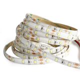 LED Strip Light (JM-2835W60-12)