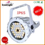 Hot Selling LED PAR Light IP65 PAR36*3W W/a Lighting (ICON-A020A-36W/A)